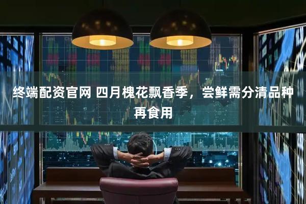终端配资官网 四月槐花飘香季，尝鲜需分清品种再食用